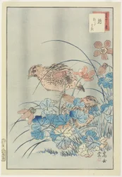 Twee kwartels in struikgewas, 1859