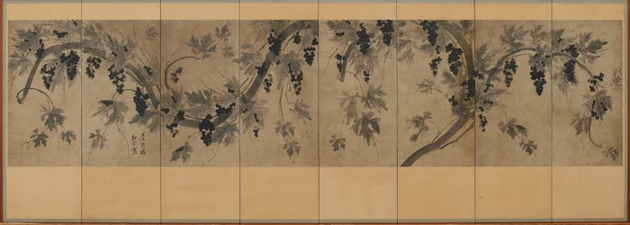 Druivenstok