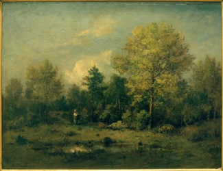 Landschap met vijver in het bos