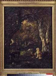 Honden in het bos