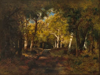 In het bos