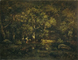 Het bos van Fontainebleau