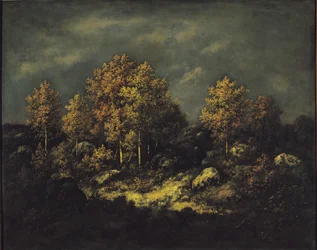 De hoogten van Jean de Paris in het bos van Fontainebleau, 1867