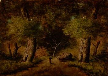 Landschap