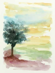 Zonsondergang in Lone Tree