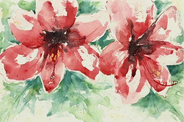 Levendige rode bloemen
