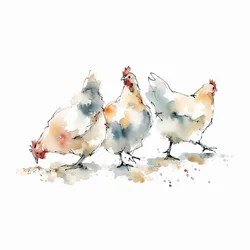 Kippen van Watercolor Farm