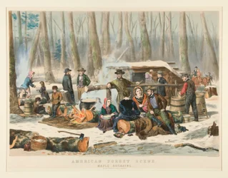 Amerikaans Boslandschap, Esdoornsuiker