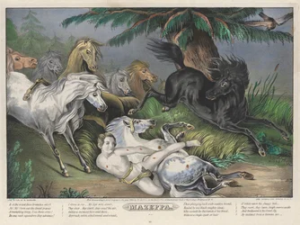 Mazeppa: Plaat 3 van set van Vier (4) Platen (Omringd door Wilde Paarden)