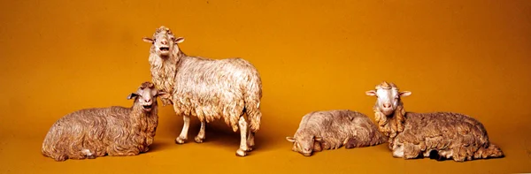 Schaap, uit de kerststal en boom