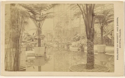 Trofeeën [plantengroei, interieur in Crystal Palace].