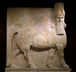 Gevleugelde stier uit hof VIII in het paleis van koning Sargon II, Khorsabad, 721-705 v.Chr. (gips?)