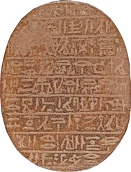 Hartscarabee van Hati-iay