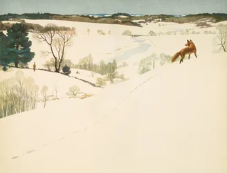 Vos in de sneeuw, schutblad in 