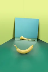 Dysmorfobie
