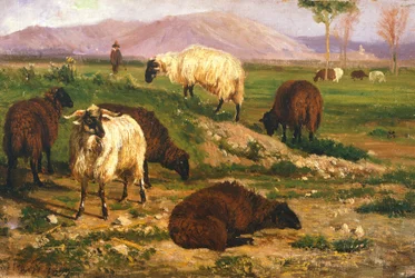 Grazende dieren