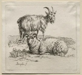 Animalia: Ram en Geit