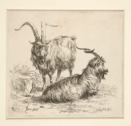 Geiten (uit