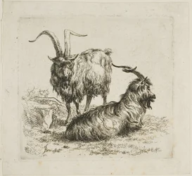 Twee geiten met grote hoorns, uit Diverse dieren