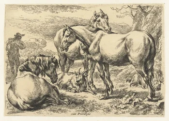 Drie paarden Dieren (serie titel)