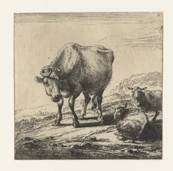 Koe en twee schapen