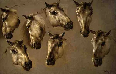 Schetsen van Paardenhoofden