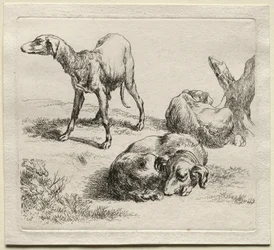 Drie Jachthonden