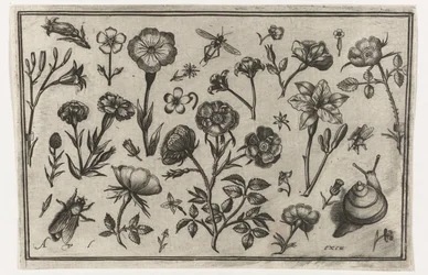 Bloemen, een vlieg en een slak