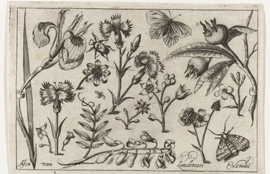 Bloemen en vlinders