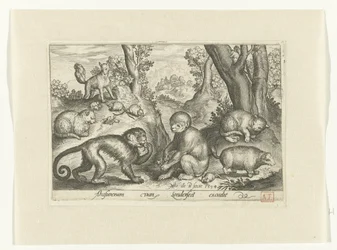 Apen, katten en muizen