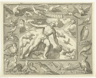 Element lucht als jonge man op wolken tussen vliegende vogels