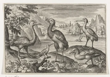 Kroonkraanvogel tussen twee struisvogels