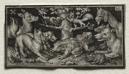 Tweekoppige kikker omringd door dieren