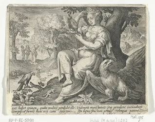 Zintuig gezicht Vijf zintuigen (serie titel)