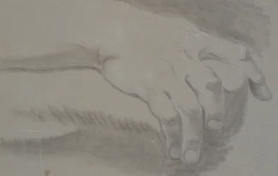 Studie van een hand