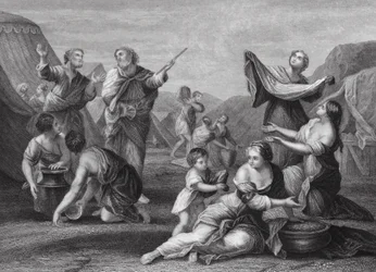 De val van manna, Exodus, Hoofdstuk 16, verzen 14, 24