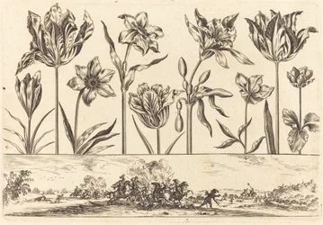 Bloemenprint nr. 2