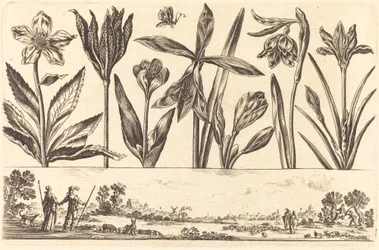 Bloemenprint nr. 4