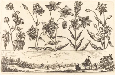 Bloemenprint nr. 6