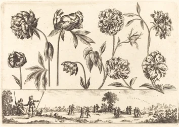 Bloemenprint nr. 7