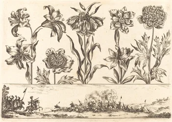 Bloemenafdruk nr. 8