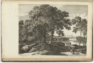 Landschap