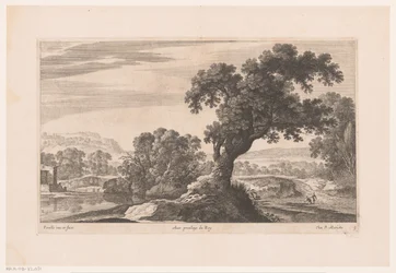 Landschap met boom bij meer