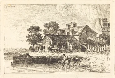 Paarden worden naar het water geleid aan een kronkelende rivier