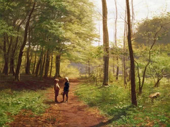 Een Wandeling in het Bos