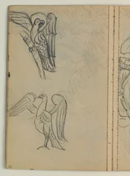 Studies van Vogels, vermoedelijk naar Voorbeeld