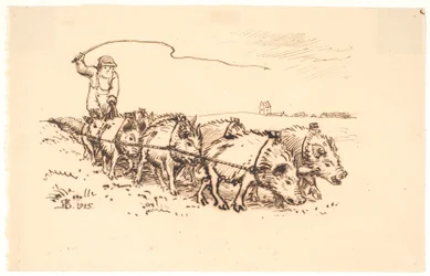 Boer Ploegt Land