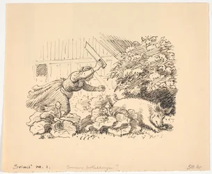 Het varken