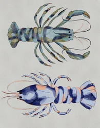 Blauwe kreeften – aquarel