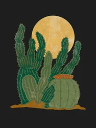 Cactussen onder de gouden maan